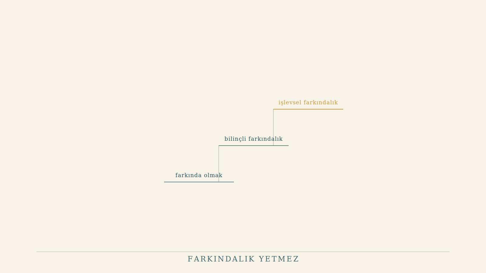Farkındalık Yetmez: İşlevsel Farkındalık Nedir?