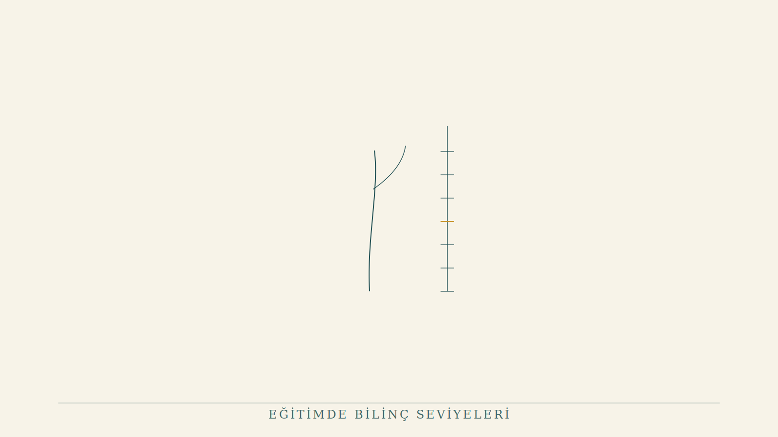Eğitimde Bilinç Seviyeleri: Pedagojinin Yeni Girdisi